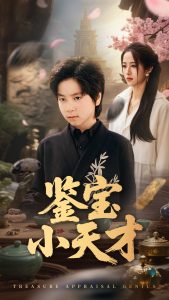 鉴宝小天才(全集)