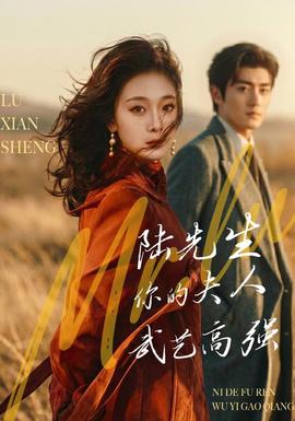 陆先生，你的夫人武艺高强(全集)